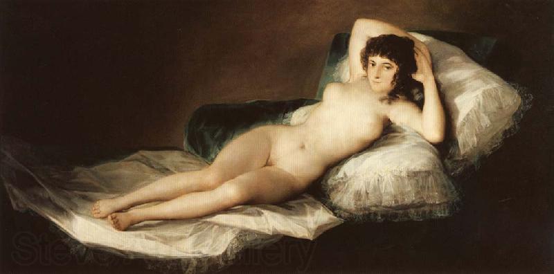 Francisco Goya The Naked Maja Norge oil painting art